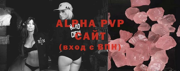 индика Аркадак
