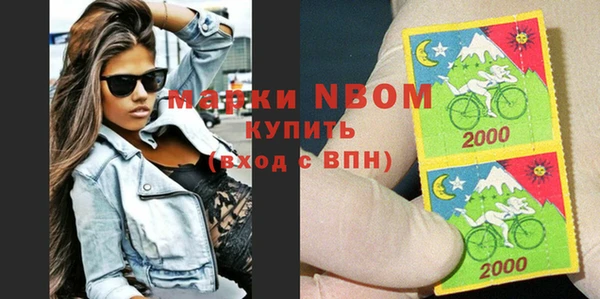 индика Аркадак