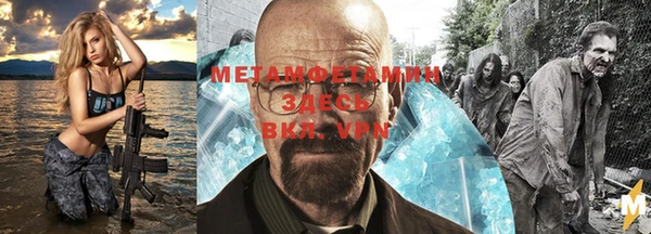 индика Аркадак